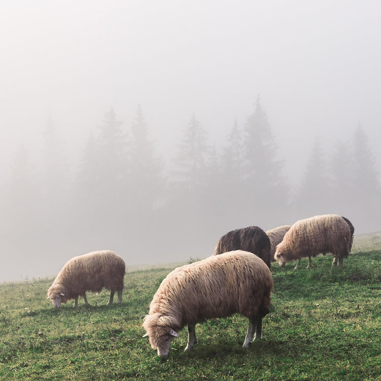 Certifié durable & éthique