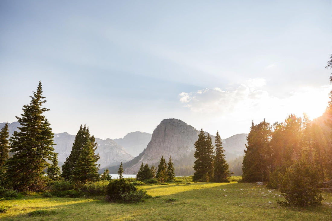 Green Friday: Schlaf gut, mach einen Unterschied