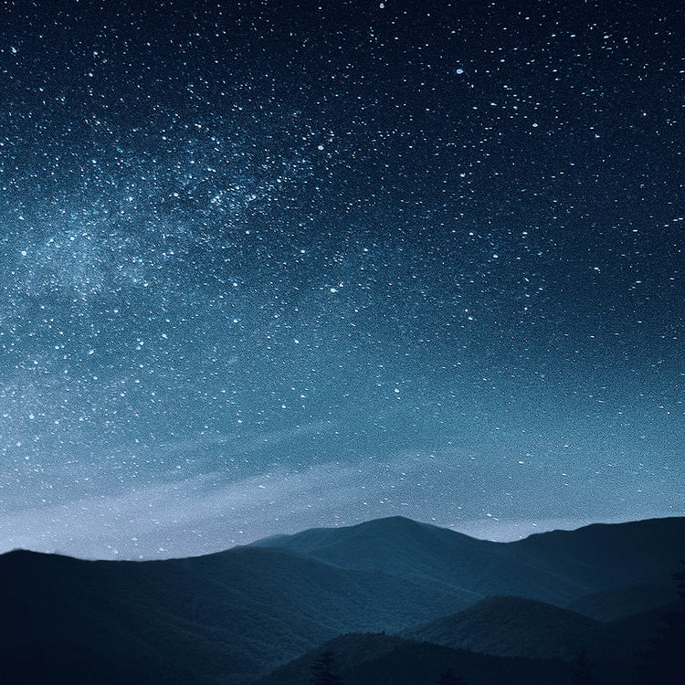 Von Sportlern empfohlen