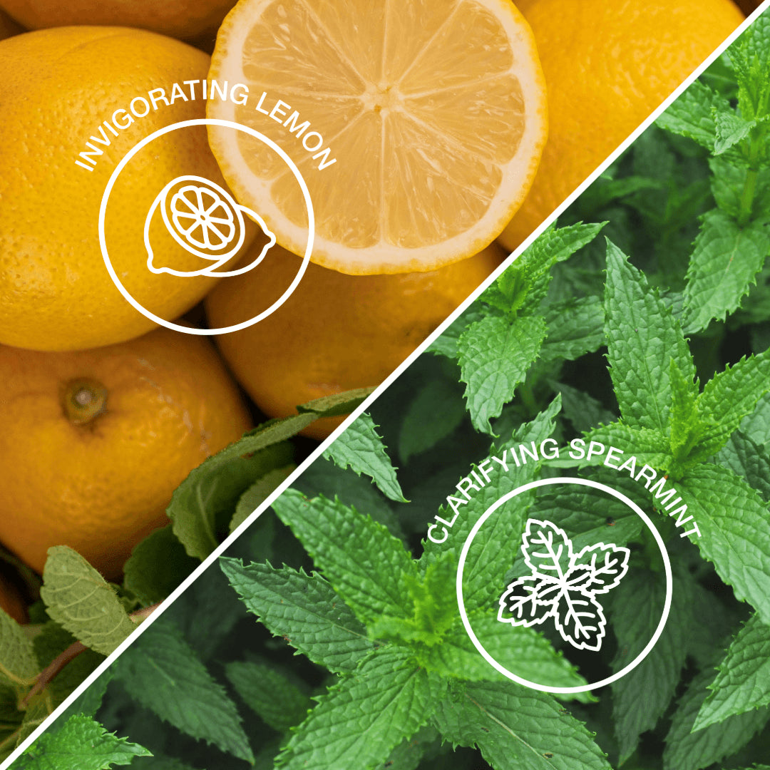 || Zitrone & Minze