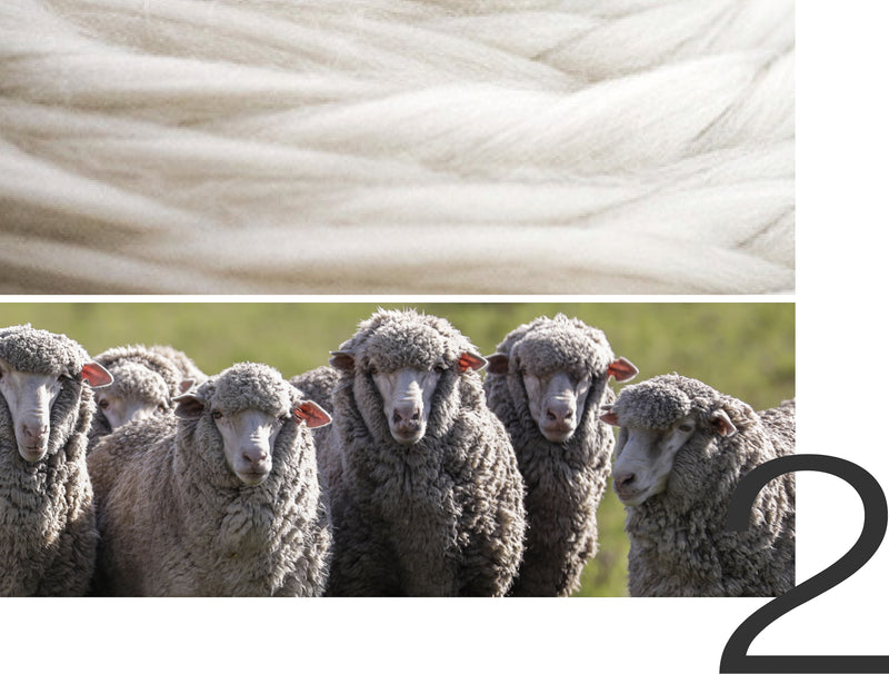 merinowolle schlafanzug